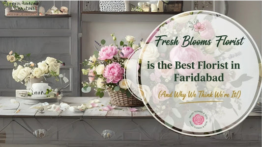 Fresh Blooms Florist is the Best Florist in Faridabad (And Why We Think We’re It!)