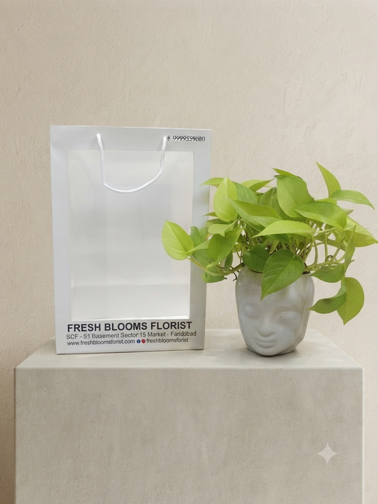 Money Plant Buddha Pot
